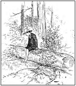 Image2 Image2