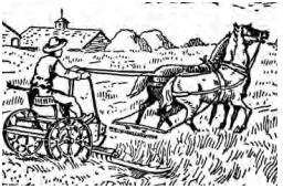 Image21 Image21
