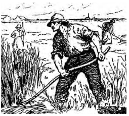 Image22 Image22